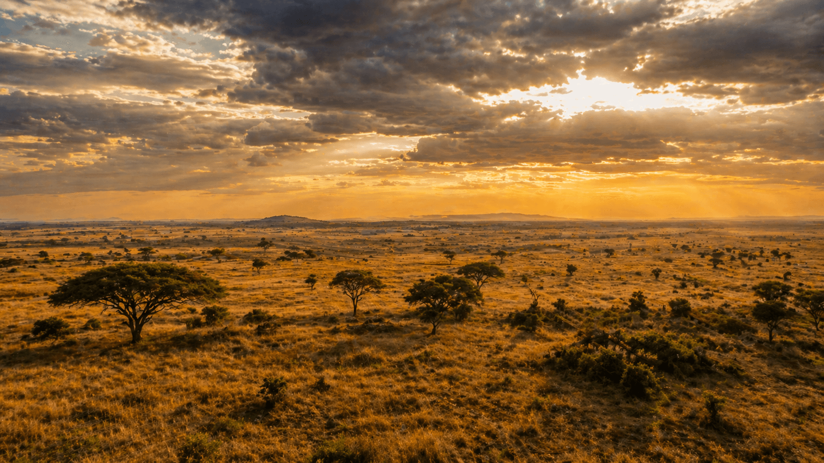 Ghana landscape